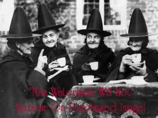 Vintage Antique Enchantress Black Witch Tea Party Photos Photographs Reprint 8