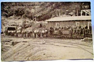 1910 Postcard All Aboard For The Mine Tunnel,  Lykens Pa,  Horse Drawn Train