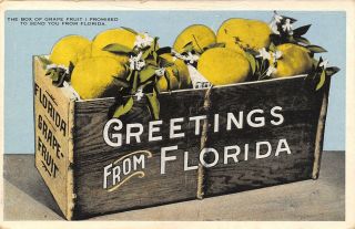 Florida Greetings The Box Of Grapefruit I Promised You Fruit Crate 1920 Postcard
