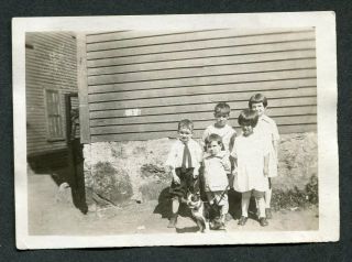 Vintage Photo Boys & Girls W/ Boston Terrier Dog 983038