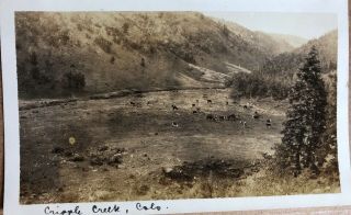 Vintage 1920’s Antique B & W Picture Cripple Creek Colorado Farm Scene