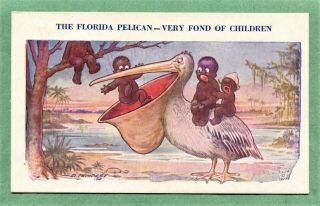 Old Postcard Black Americana 1925 Pelican And Black Kids Signed D.  Tempest