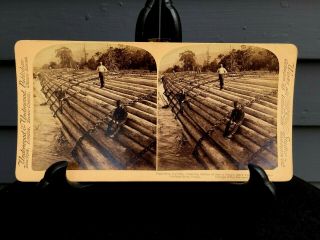 Antique Underwood Cabinet Photo Stereoview Card Columbia River Log Raft 1902