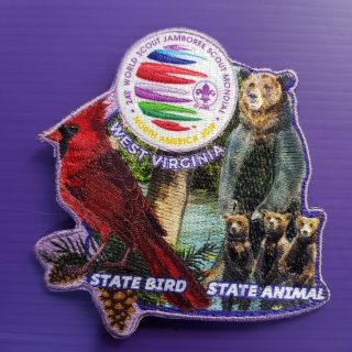 24th World Scout Jamboree 2019 Usa Official Scout Shop Patch / Bird Badge