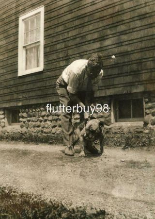 R175 Vtg Photo Man W/ Brindle Pit Bull Dog,  C Early 1900 