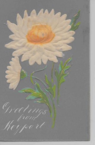 Keyport Jersey Greetings From Attached Silk Flower Antique Pc Z19933