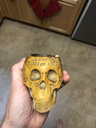 Vintage Rare University Of Nebraska College Of Medicine Skull Ashtray Pharmacy