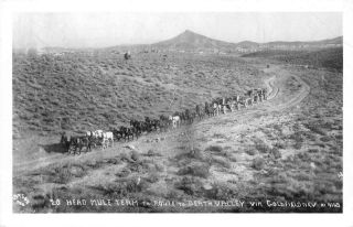 Rppc 20 Mule Team,  Death Valley Via Goldfield,  Nv C1950s Vintage Postcard