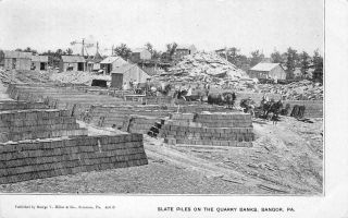 Slate Piles On The Quarry Banks Bangor,  Pa Millar & Co C1900s Vintage Postcard