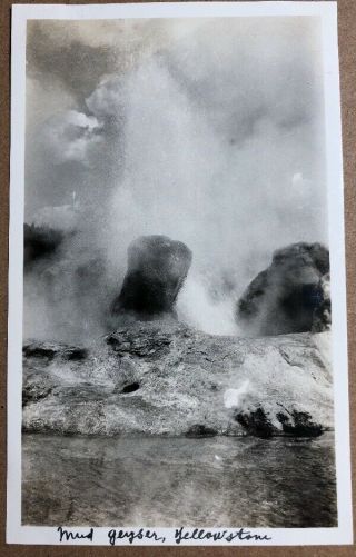 Vintage 1920’s Antique B & W Picture Yellowstone Park Mid Geyser