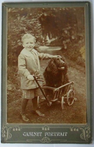 Early Cabinet Photo Of A Young Boy With A Dog In A Cart Vgc