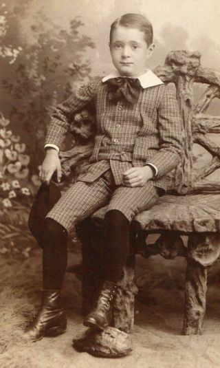 Antique Cabinet Photo Handsome Young Victorian Boy Springfield Ma Backstamp