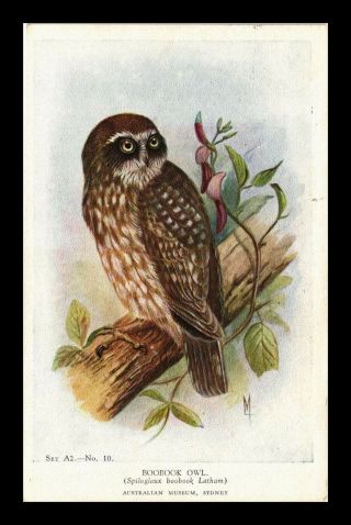 Dr Jim Stamps Us Army Post Office Wwii Boobook Owl Topical Postcard 1943