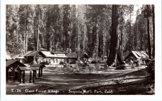 Rppc Sequoia National Park,  Ca Giant Forest Village C1930s Cars Postcard