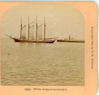 Ships,  White Winged Messenger - - Kilburn 12643 C.  1898