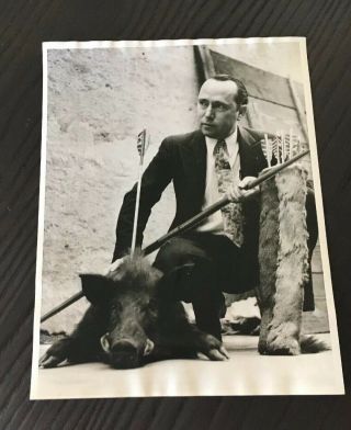 Two Vintage Hunting Photographs Boar Deer Archery Newspaper