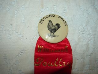 1911 Womelsdorf,  Pa Poultry Association,  Inc.  Second Prize Pin w/ Ribbon 2