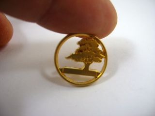 Vintage Collectible Pin: Tree Open Body Design Gold Tone