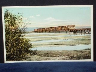 Albuquerque Mexico Rio Grande Bridge View Phostint 1900s Vintage Postcard
