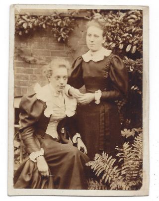 Victorian Ladies In The Garden - Antique Albumen Photograph C1890