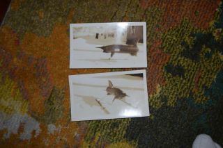 Pair Black And White Photos Of Rocket 6 X 3.  5