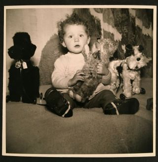 Vintage Photo Of Cute Kid Holding Antique Stuffed Animals Dogs Fox 3676