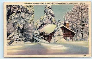 Skyland Skyline Drive Shenandoah National Park Virginia Va Vintage Postcard B49
