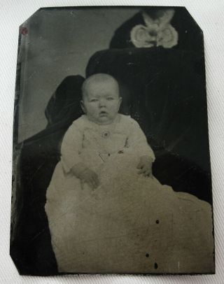 Antique Tintype Photo Portrait Of Cute Little Baby Hidden Mother Behind Chair