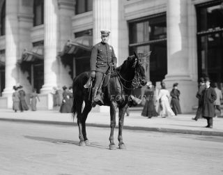 C1910 York City Mounted Police Officer 8x10 Photo - Nypd Cop & Horse Picture