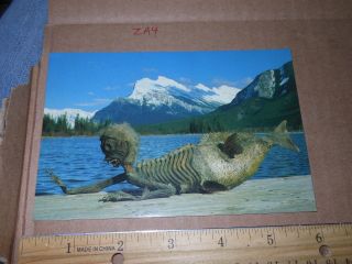 Banff Canada Indian Trading Post Camp Ripley Believe It Or Not Creature Man Fish