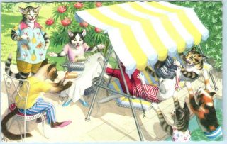Mainzer Cats Kittens Anthropomorphic Pool & Swing Summer Fun 4889 Postcard