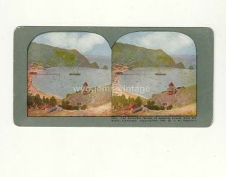 Stereograph Card Harbor Of Catalina Island From The Bluffs California No.  1256
