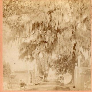 1887 City Of The Dead,  Orleans.  B.  W.  Kilburn Stereoview Photo