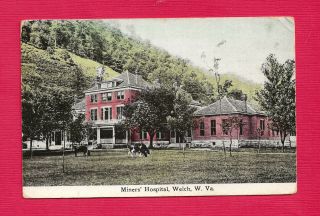 Welch,  Wv,  Postcard View Of Miners Hospital With 3 Dairy Cows In Front,  Jul 1910
