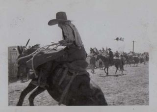 Vintage Photo Cowboy Or Cowgirl Riding Bucking Horse Bronc 1930s