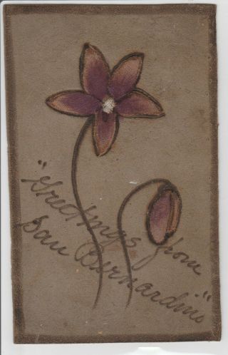 " Greetings From " San Bernardino California Purple Flower On Leather 1907 Pc