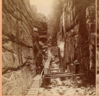 1883 Boy Standing In The Flume B.  W.  Kilburn Stereoview Photos