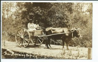 Rppc Postcard Black Americana Man & Women Riding In Ox Cart Lighting Ox Press