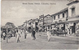Ceylon Street Scene Bullocks & Carts Pettah Colombo Postcard