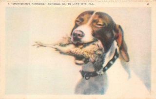 A Sportsman Paradise Cordele Georgia To Lake City Florida Dog Postcard (c.  1930s)