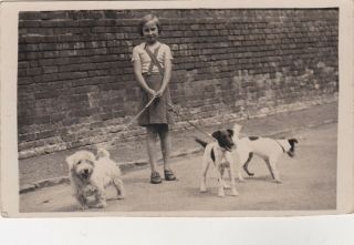 Old Photo Children Girl Fashion Walking Dogs Pet Animal F2
