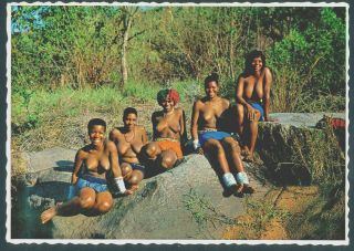 Sun Ceremony Of Nude Zulu Girls &men,  Natal,  South Africa,  Ethnic Postcard 1970 