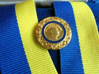 Vintage Rotary Paul Harris Fellow Medal & Lapel Pin in the Case 4