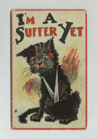 1910 Suffragist Woman Suffrage Cat Kitten Comic Postcard I 