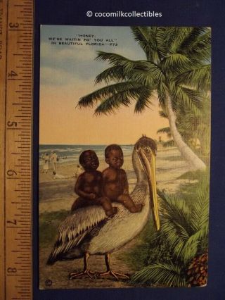 Postcard 1938 African American Children On A Pelican Florida Black Americana