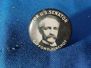 Orig 1914 Gifford Pinchot Pennsylvania Senator Campaign Pinback W Photo Images