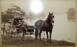 Great Cute Antique Cabinet Photograph From Hinsdale N.  H.  Little Girls In Buggy