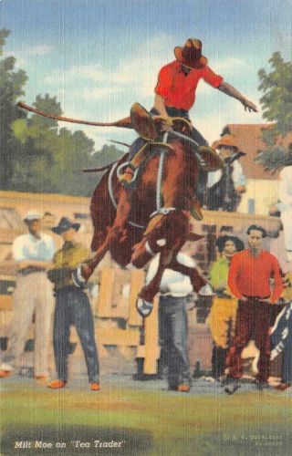 Milt Moe On " Tea Trader " Horse,  Cowboys Western Rodeo Ca 1940s Vintage Postcard