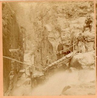 People With Dog In The Flume.  B.  W.  Kilburn Stereoview Photo