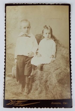 Cabinet Card Little Boy & Sister Hat On Hay Sonora California Photographer Hells